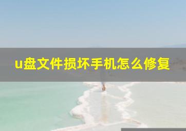 u盘文件损坏手机怎么修复