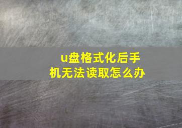 u盘格式化后手机无法读取怎么办