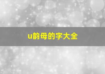 u韵母的字大全