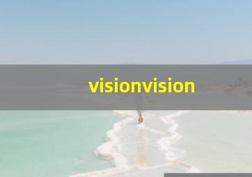 visionvision