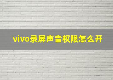 vivo录屏声音权限怎么开