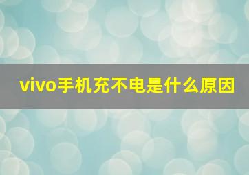 vivo手机充不电是什么原因