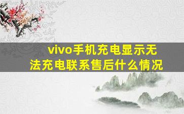 vivo手机充电显示无法充电联系售后什么情况