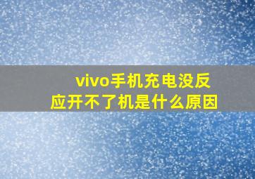 vivo手机充电没反应开不了机是什么原因