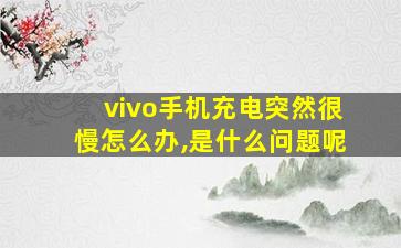 vivo手机充电突然很慢怎么办,是什么问题呢