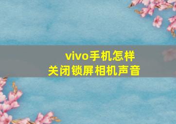 vivo手机怎样关闭锁屏相机声音