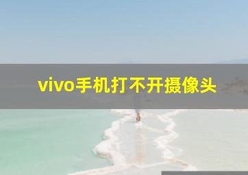 vivo手机打不开摄像头