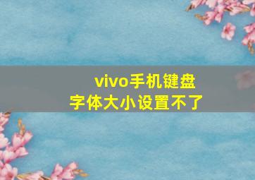 vivo手机键盘字体大小设置不了