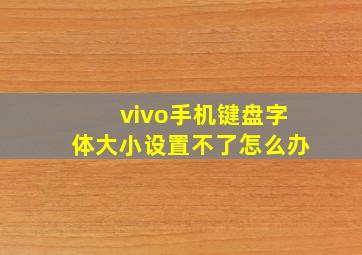 vivo手机键盘字体大小设置不了怎么办