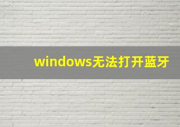 windows无法打开蓝牙