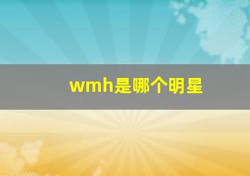 wmh是哪个明星