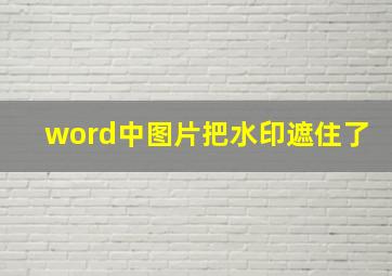 word中图片把水印遮住了