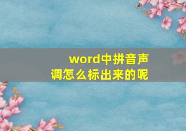 word中拼音声调怎么标出来的呢