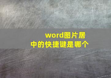 word图片居中的快捷键是哪个