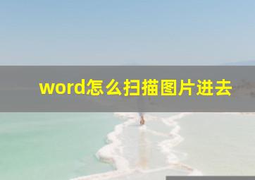 word怎么扫描图片进去