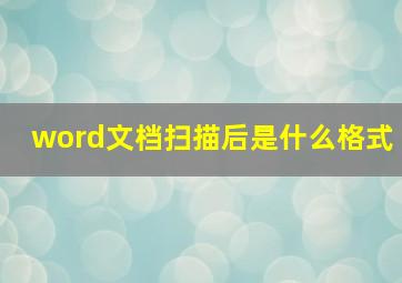 word文档扫描后是什么格式