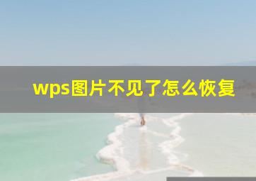 wps图片不见了怎么恢复