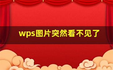 wps图片突然看不见了