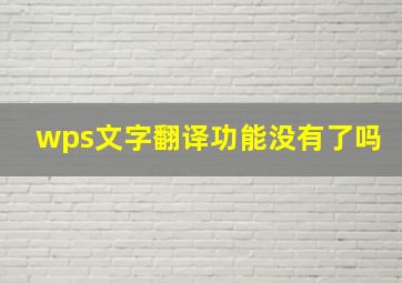 wps文字翻译功能没有了吗