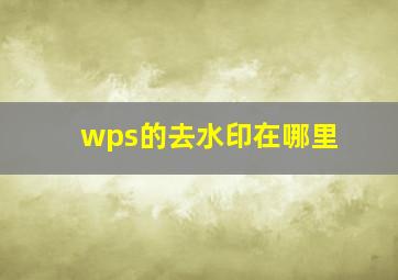 wps的去水印在哪里