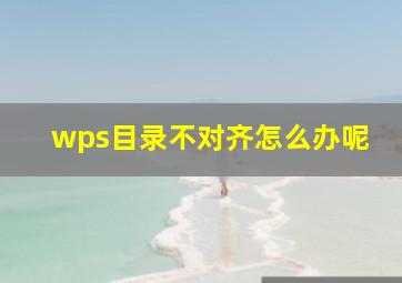 wps目录不对齐怎么办呢