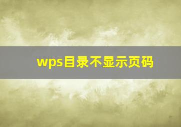 wps目录不显示页码