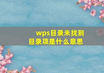 wps目录未找到目录项是什么意思