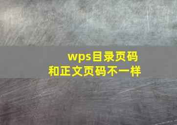 wps目录页码和正文页码不一样