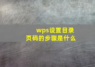 wps设置目录页码的步骤是什么