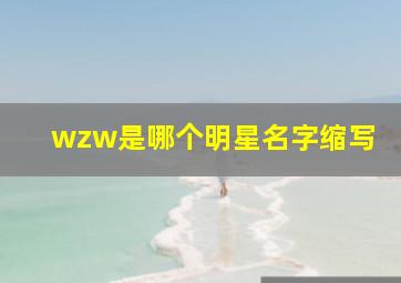 wzw是哪个明星名字缩写