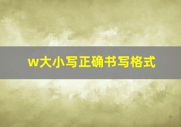 w大小写正确书写格式