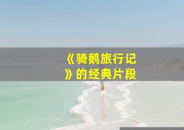 《骑鹅旅行记》的经典片段