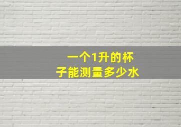 一个1升的杯子能测量多少水