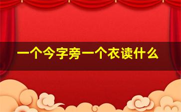 一个今字旁一个衣读什么