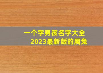 一个字男孩名字大全2023最新版的属兔