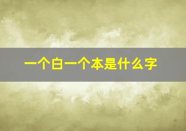 一个白一个本是什么字