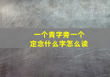 一个青字旁一个定念什么字怎么读