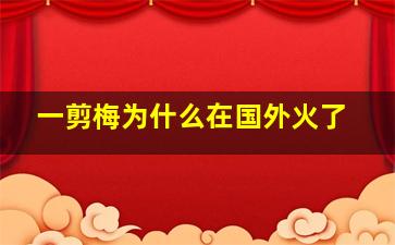 一剪梅为什么在国外火了