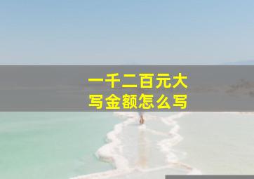 一千二百元大写金额怎么写