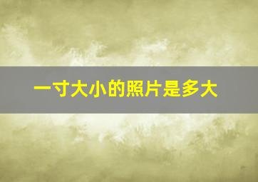 一寸大小的照片是多大