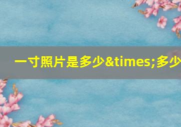 一寸照片是多少×多少