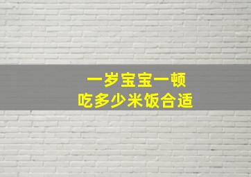 一岁宝宝一顿吃多少米饭合适