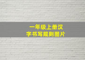 一年级上册汉字书写规则图片