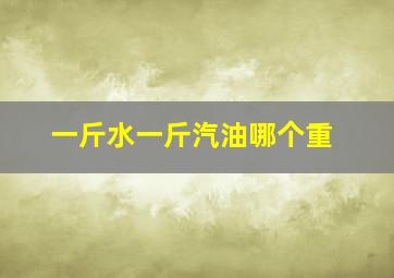 一斤水一斤汽油哪个重