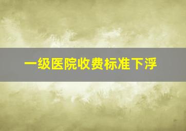 一级医院收费标准下浮