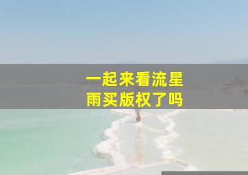 一起来看流星雨买版权了吗