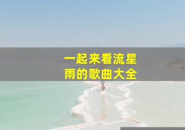 一起来看流星雨的歌曲大全