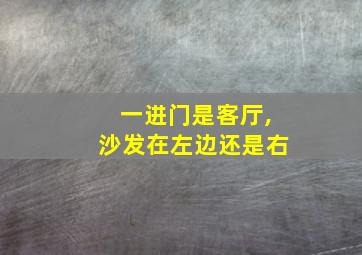 一进门是客厅,沙发在左边还是右