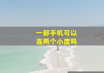 一部手机可以连两个小度吗