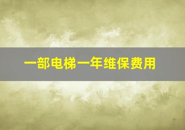 一部电梯一年维保费用